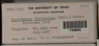 Image Associated With the Occurence